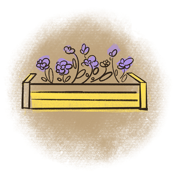 Illustration of a long, rectangular container filled with various purple flowers, set against a textured background.