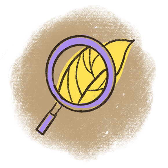 Illustration showing a purple magnifying glass focusing on a detailed yellow leaf.