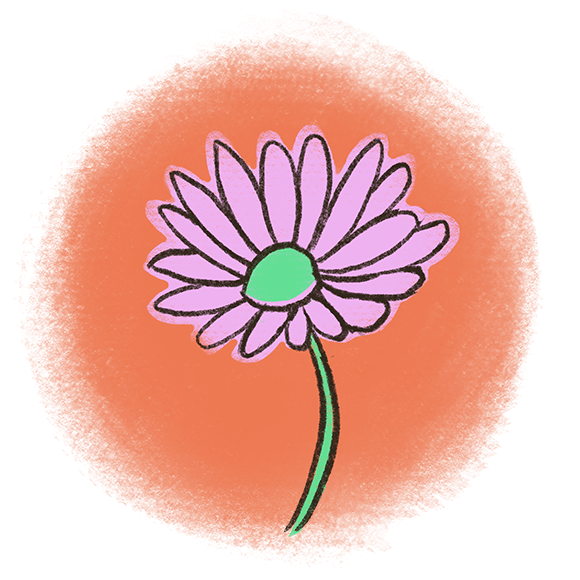 Image of a purple daisy-like flower with a green stem and center, set against a vivid orange background.