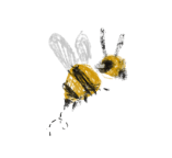 Flying bee