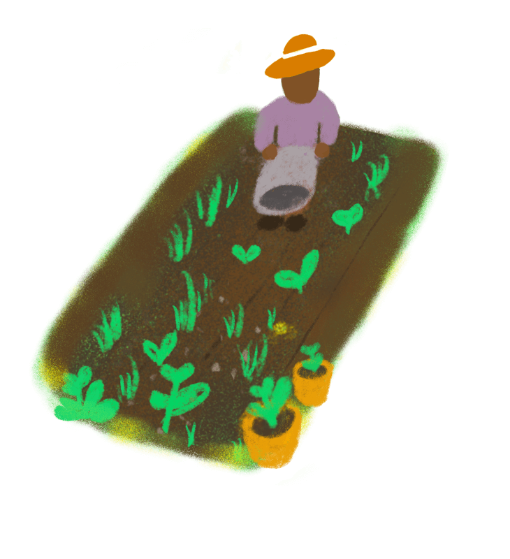 Illustration of a person in a wide-brimmed hat kneeling and tending to a vegetable garden patch. The garden highlights green leafy plants in the soil.